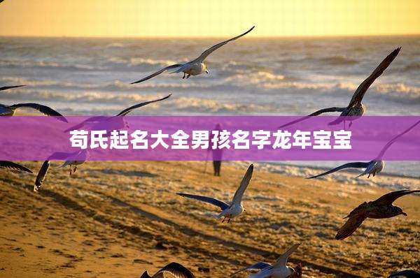 苟氏起名大全男孩名字龙年宝宝