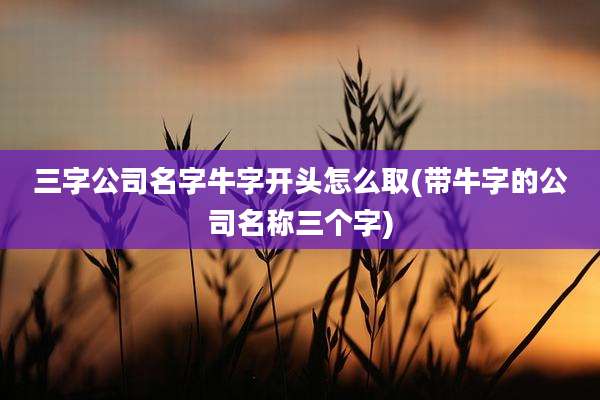 三字公司名字牛字开头怎么取(带牛字的公司名称三个字)