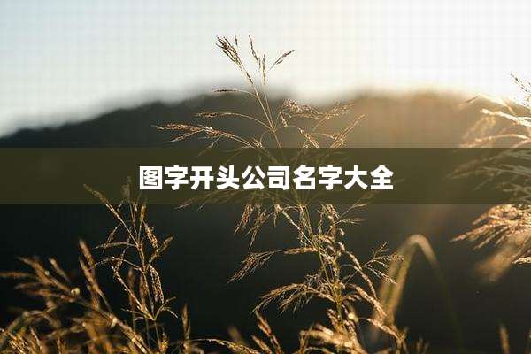 图字开头公司名字大全