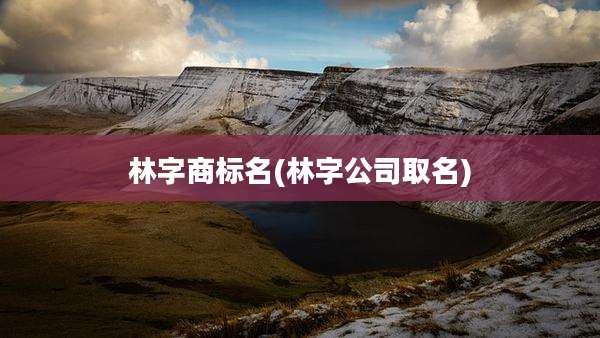 林字商标名(林字公司取名)