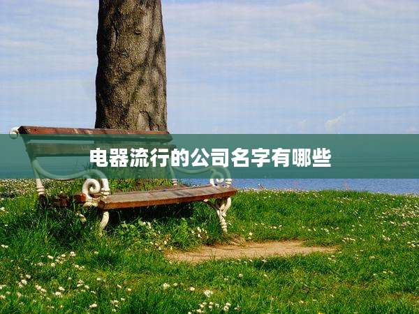 电器流行的公司名字有哪些