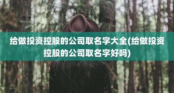 给做投资控股的公司取名字大全(给做投资控股的公司取名字好吗)