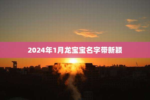 2024年1月龙宝宝名字带新颖