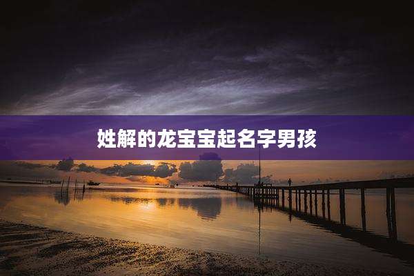 姓解的龙宝宝起名字男孩