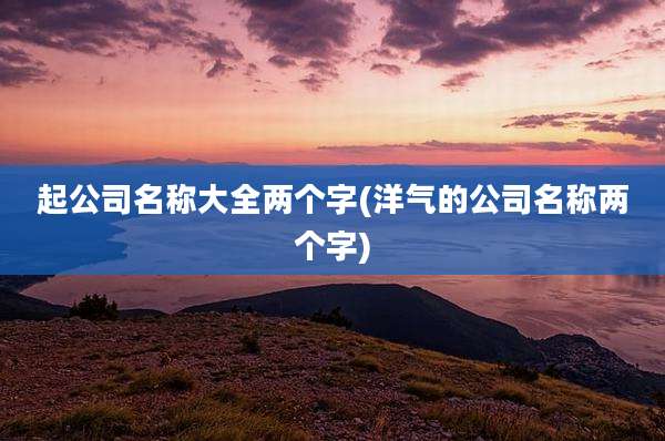 起公司名称大全两个字(洋气的公司名称两个字)