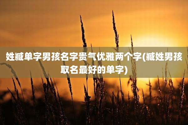 姓臧单字男孩名字贵气优雅两个字(臧姓男孩取名最好的单字)