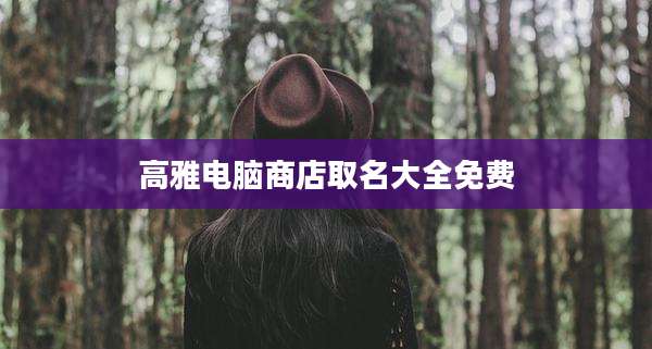高雅电脑商店取名大全免费