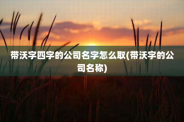 带沃字四字的公司名字怎么取(带沃字的公司名称)