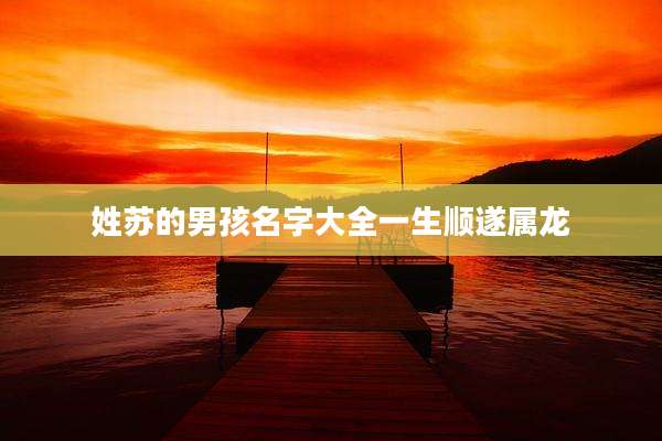 姓苏的男孩名字大全一生顺遂属龙