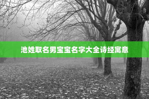 池姓取名男宝宝名字大全诗经寓意