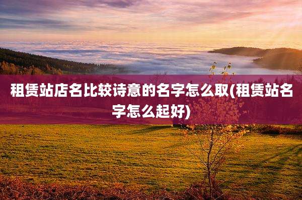 租赁站店名比较诗意的名字怎么取(租赁站名字怎么起好)
