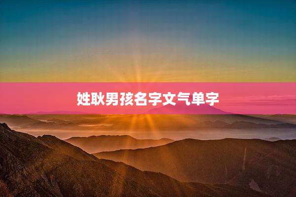 姓耿男孩名字文气单字
