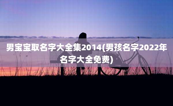 男宝宝取名字大全集2014(男孩名字2022年名字大全免费)
