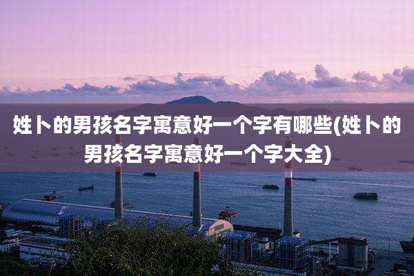 姓卜的男孩名字寓意好一个字有哪些(姓卜的男孩名字寓意好一个字大全)