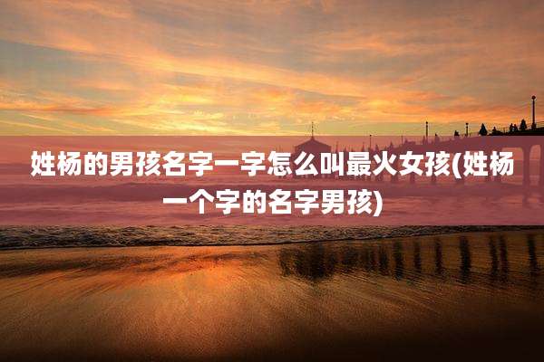 姓杨的男孩名字一字怎么叫最火女孩(姓杨一个字的名字男孩)