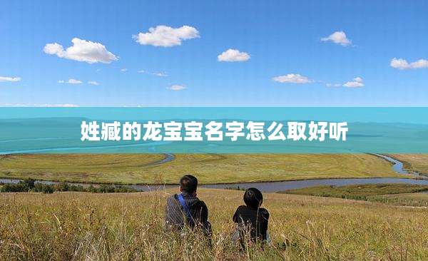 姓臧的龙宝宝名字怎么取好听