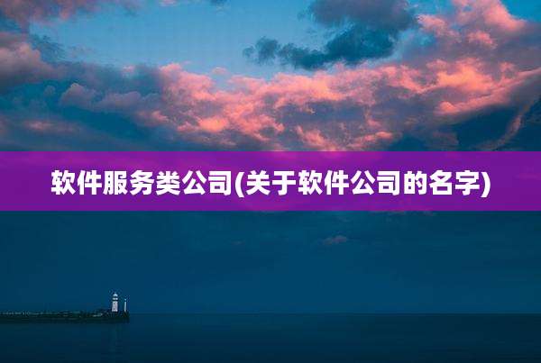 软件服务类公司(关于软件公司的名字)