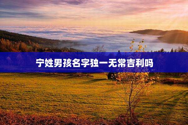 宁姓男孩名字独一无常吉利吗