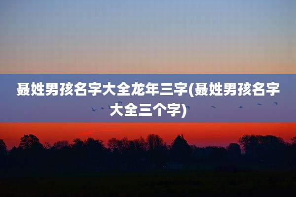 聂姓男孩名字大全龙年三字(聂姓男孩名字大全三个字)