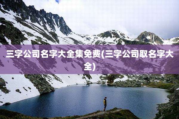 三字公司名字大全集免费(三字公司取名字大全)