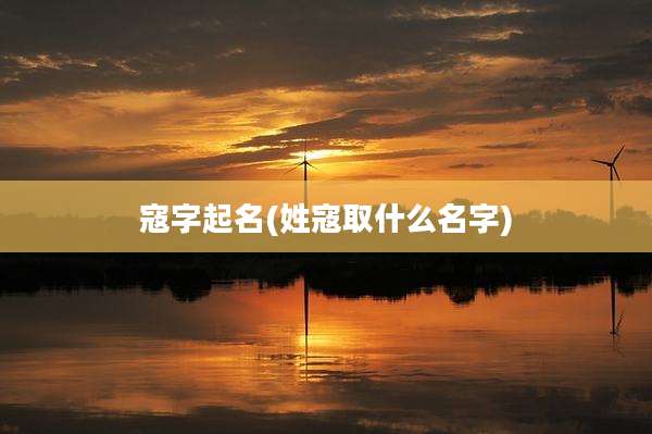 寇字起名(姓寇取什么名字)