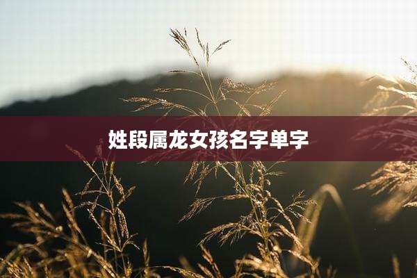姓段属龙女孩名字单字
