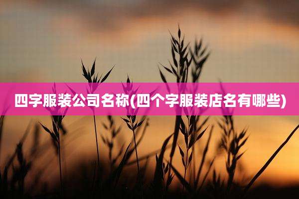 四字服装公司名称(四个字服装店名有哪些)