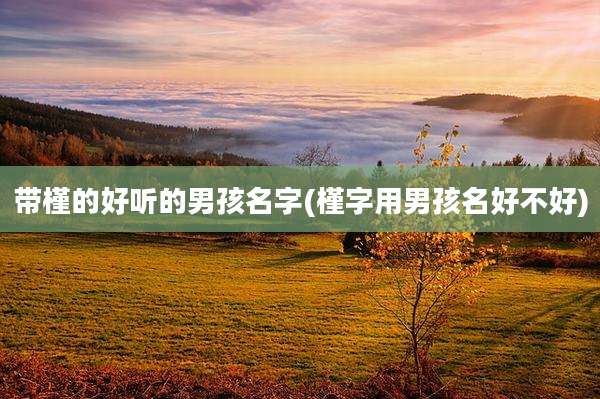 带槿的好听的男孩名字(槿字用男孩名好不好)