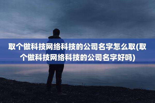 取个做科技网络科技的公司名字怎么取(取个做科技网络科技的公司名字好吗)