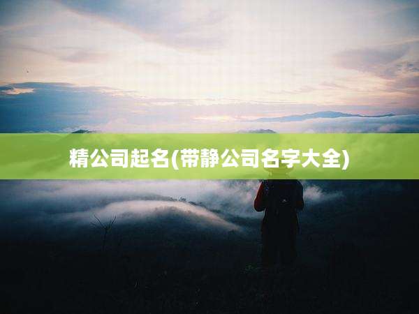 精公司起名(带静公司名字大全)