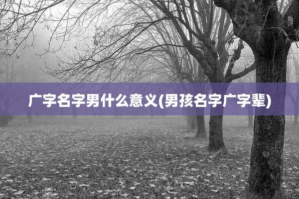 广字名字男什么意义(男孩名字广字辈)
