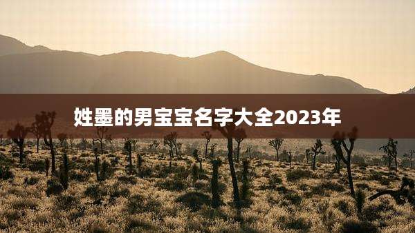 姓墨的男宝宝名字大全2023年