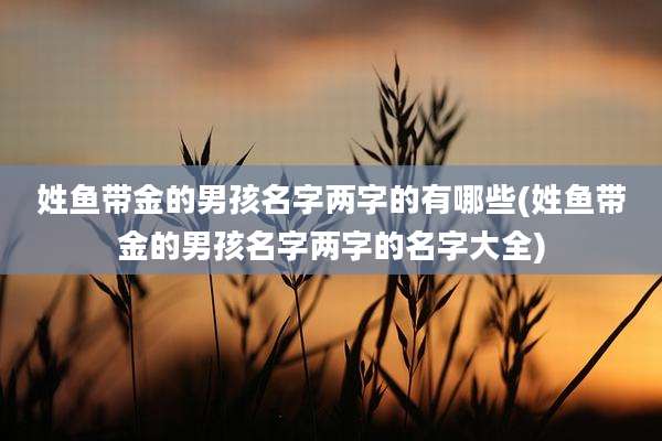 姓鱼带金的男孩名字两字的有哪些(姓鱼带金的男孩名字两字的名字大全)