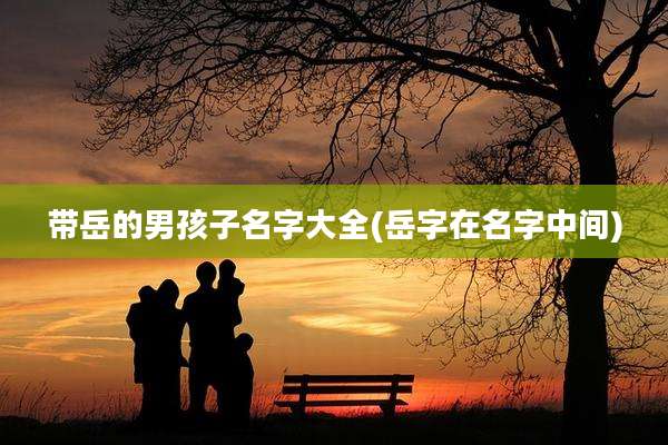 带岳的男孩子名字大全(岳字在名字中间)
