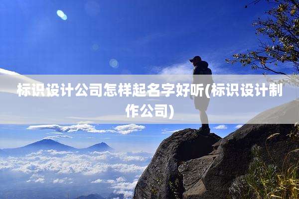 标识设计公司怎样起名字好听(标识设计制作公司)