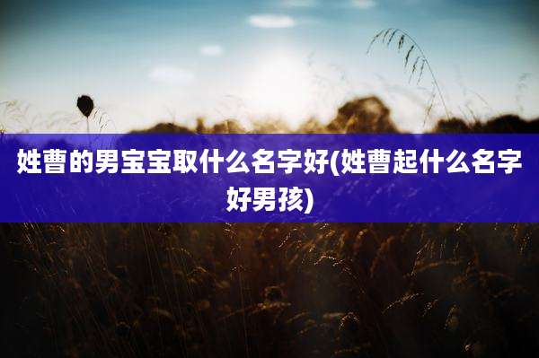 姓曹的男宝宝取什么名字好(姓曹起什么名字好男孩)
