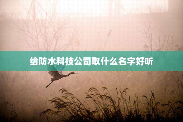 给防水科技公司取什么名字好听
