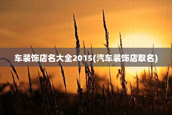 车装饰店名大全2015(汽车装饰店取名)