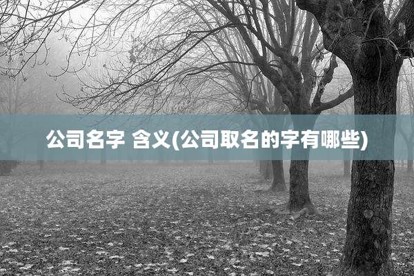 公司名字 含义(公司取名的字有哪些)