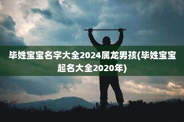 毕姓宝宝名字大全2024属龙男孩(毕姓宝宝起名大全2020年)