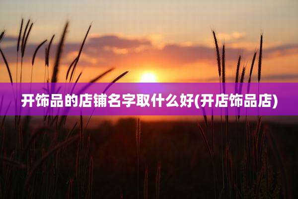 开饰品的店铺名字取什么好(开店饰品店)