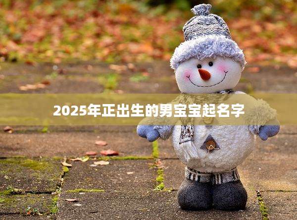 2025年正出生的男宝宝起名字