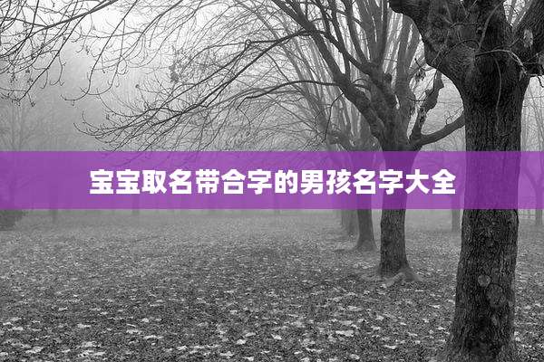 宝宝取名带合字的男孩名字大全