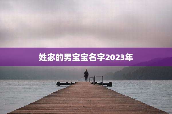 姓宓的男宝宝名字2023年