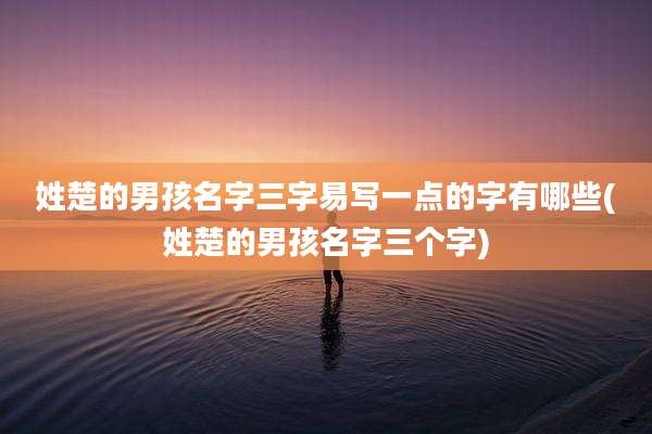 姓楚的男孩名字三字易写一点的字有哪些(姓楚的男孩名字三个字)