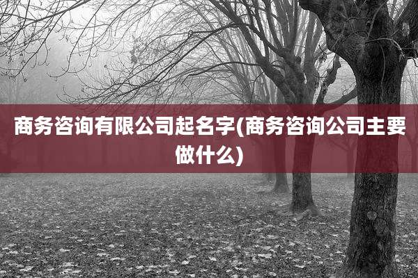 商务咨询有限公司起名字(商务咨询公司主要做什么)