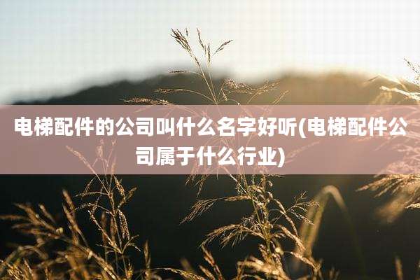 电梯配件的公司叫什么名字好听(电梯配件公司属于什么行业)