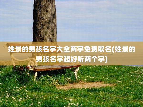 姓景的男孩名字大全两字免费取名(姓景的男孩名字超好听两个字)