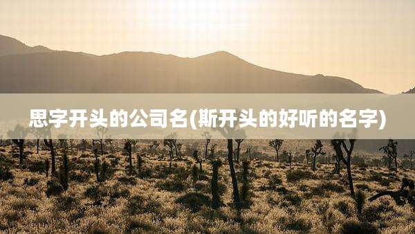 思字开头的公司名(斯开头的好听的名字)