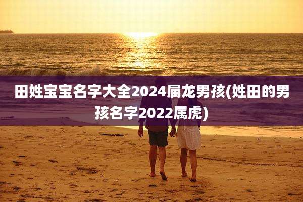 田姓宝宝名字大全2024属龙男孩(姓田的男孩名字2022属虎)